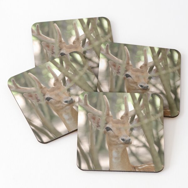 Item preview, Hidden Deer designed and sold by MelKowasic.