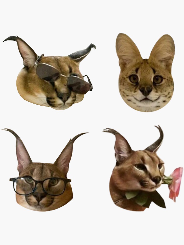 FLOPPA CAT \ CARACALS | Sticker