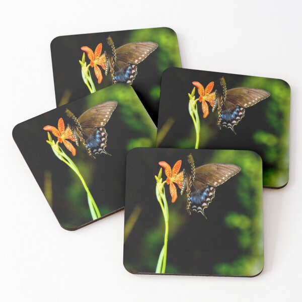 Item preview, Black Swallowtail Butterfly On Blackberry Lily designed and sold by Thymely.