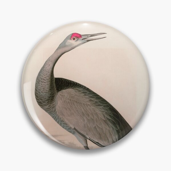 Item preview, Birds of America Audubon Hooping Crane Illustration Bird Lovers Gift designed and sold by VintageArchive.