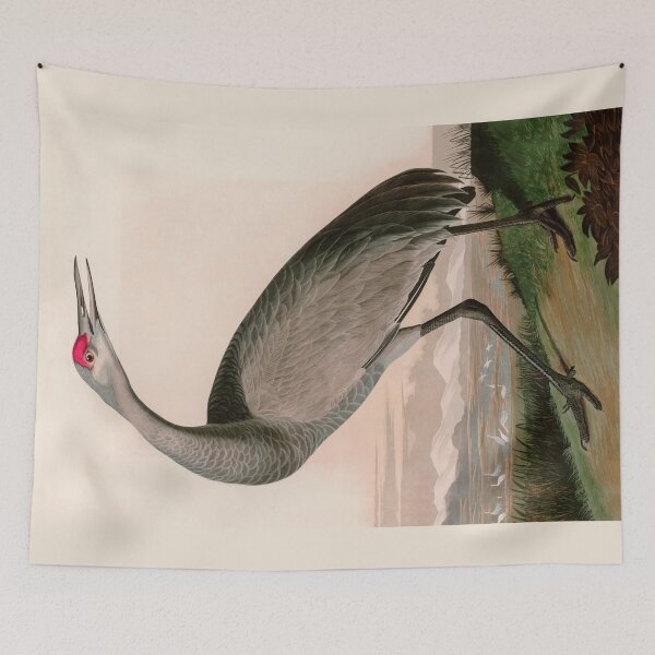 Item preview, Birds of America Audubon Hooping Crane Illustration Bird Lovers Gift designed and sold by VintageArchive.