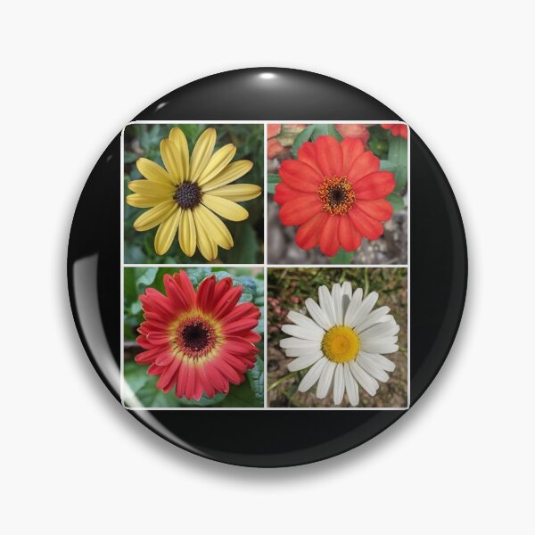 Item preview, A foursome of beauties. designed and sold by memorguson.