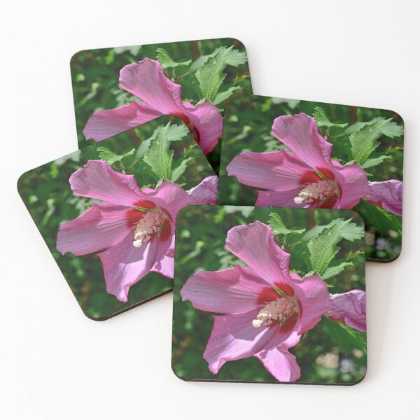 Item preview, Rose of Sharon designed and sold by Lanis Rossi.