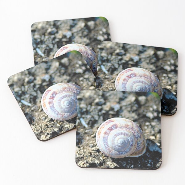 Item preview, Land Snail Shell Closeup designed and sold by worldways.