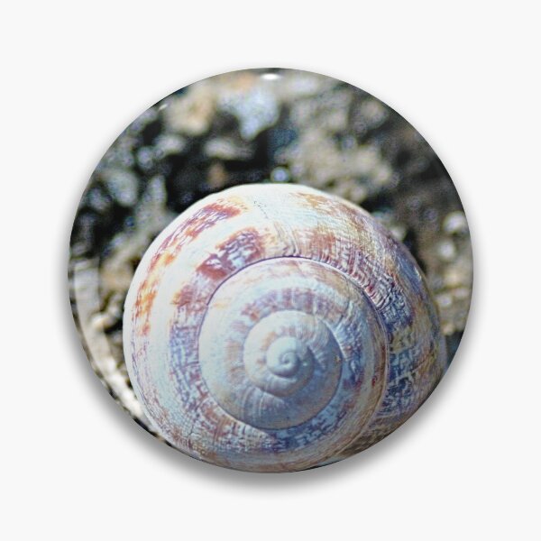 Item preview, Land Snail Shell Closeup designed and sold by worldways.