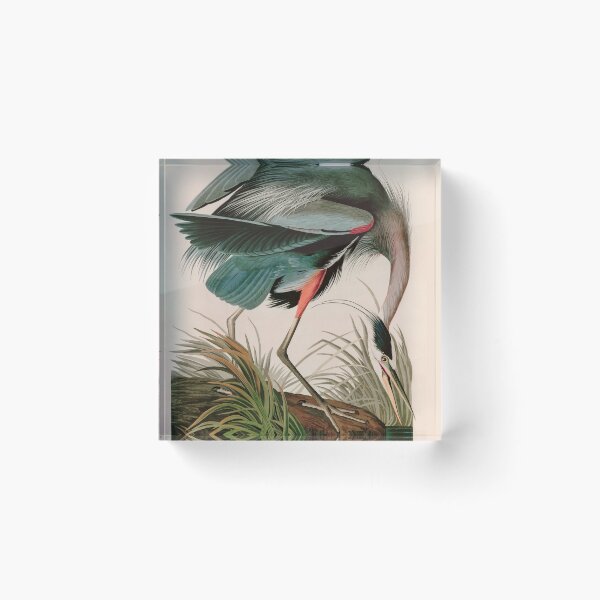 Item preview, Birds of America Audubon Great Blue Heron Illustration Bird Lovers Gift designed and sold by VintageArchive.