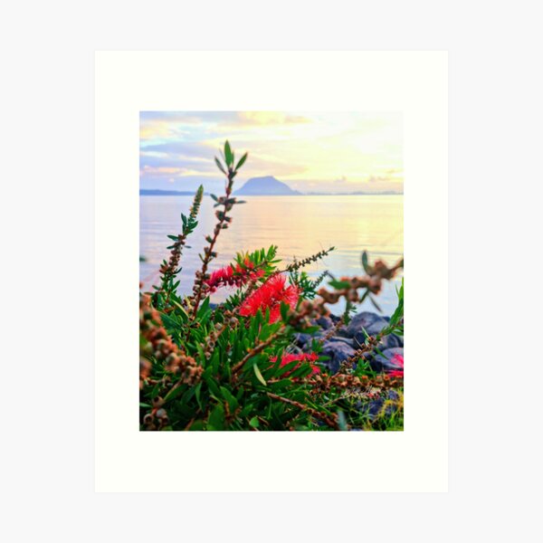 MOUNT SUNRISE THROUGH FLOWERS Art Print