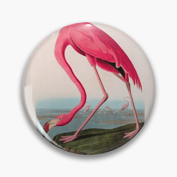 Item preview, Birds of America Audubon American Flamingo Illustration Bird Lovers Gift designed and sold by VintageArchive.