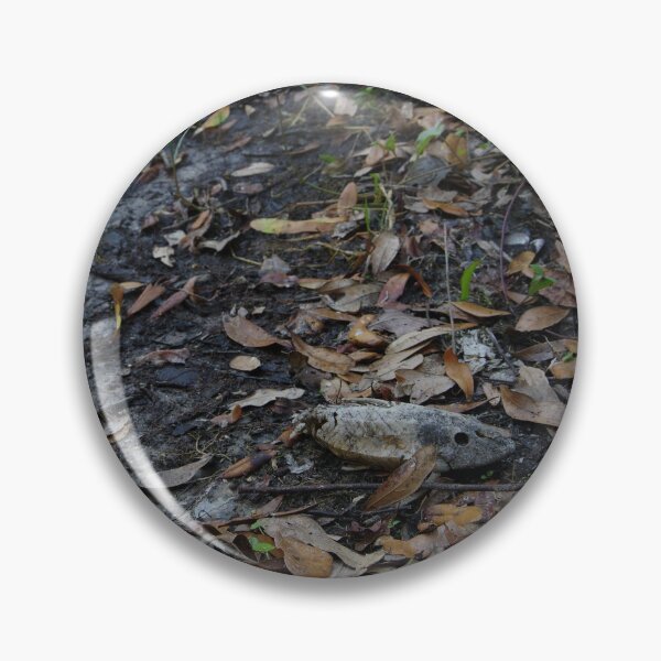 Item preview, Fish Skeleton designed and sold by InhumanImaging.