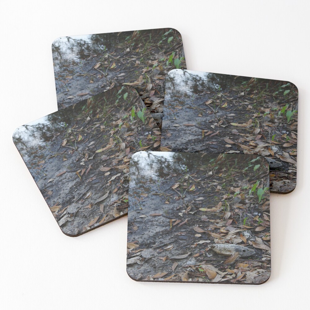 Item preview, Coasters (Set of 4) designed and sold by InhumanImaging.