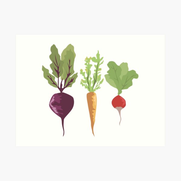 Vegetables Art Print
