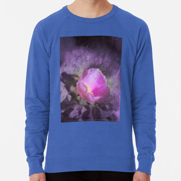 Old fashioned pink rose, purple texture Lightweight Sweatshirt