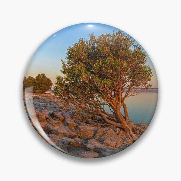 Aperçu de l'œuvre Mangrove au coucher du soleil de Willie Creek créée et vendue par Elliot62.