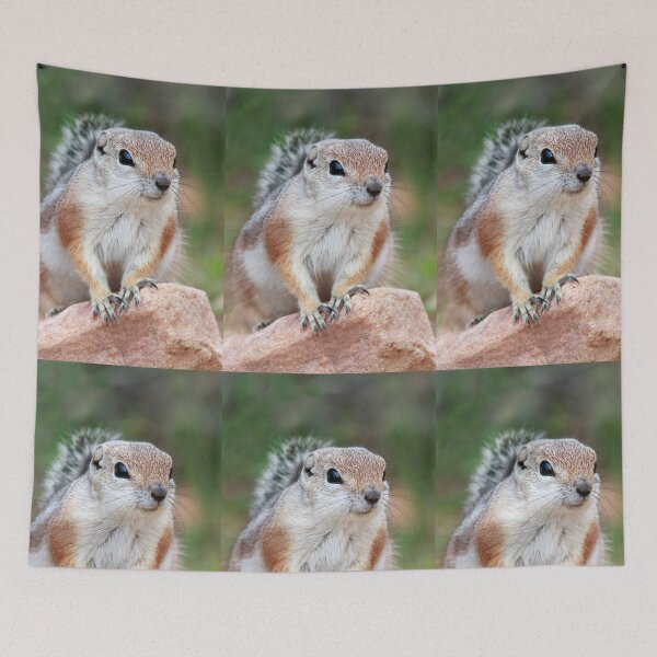 Item preview, Antelope Ground Squirrel designed and sold by WorldDesign.