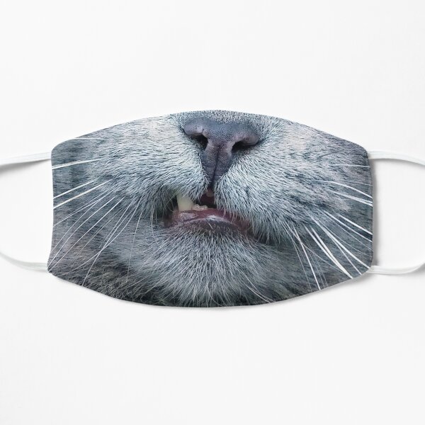 Funny - Close Up Grey Cat Face Mask - Cat Flat Mask