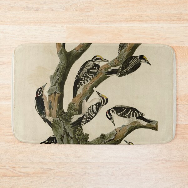 Item preview, 417 I. Maria's Woodpecker 2. Three toed Woodpecker 3. Phillips' Woodpecker 4. Canadian Woodpecker 5. Harris's Woodpecker 6. Audubon's Woodpecker designed and sold by Bird-Lore.