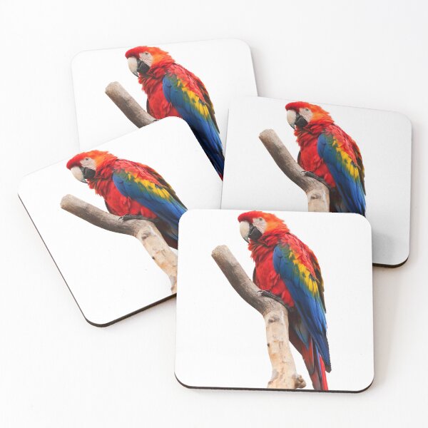Item preview, Parrot  designed and sold by latistore.