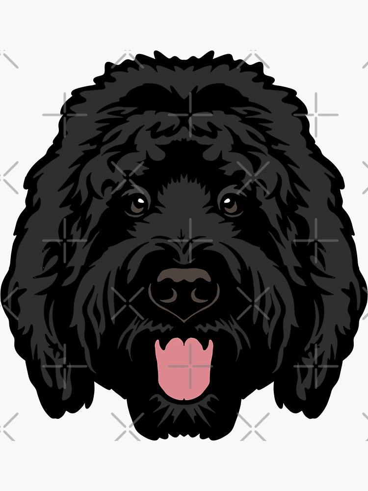 Black Goldendoodle / Labradoodle