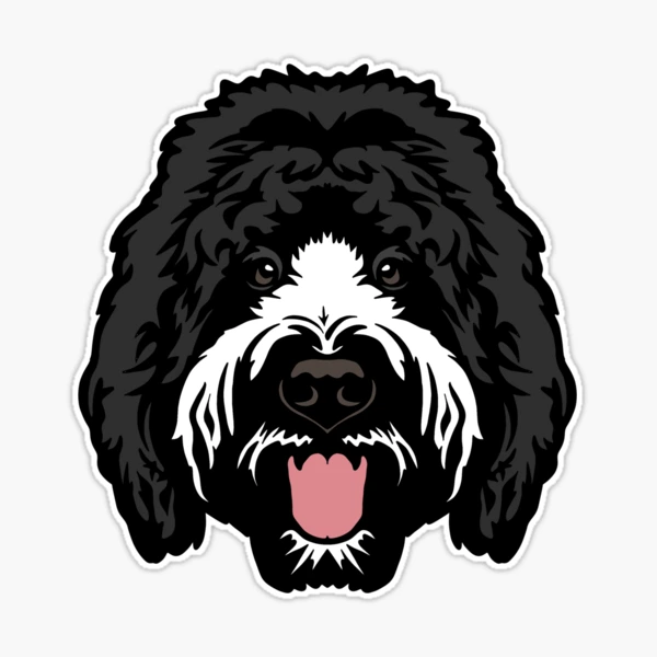 st,large,507x507-pad,600x600,
