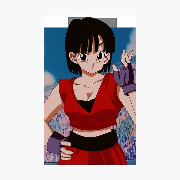 pan DBZ Photo frame effect