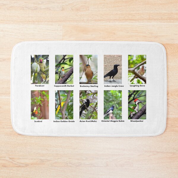 Item preview, Collage of ten different birds with names designed and sold by VeenaNair23.