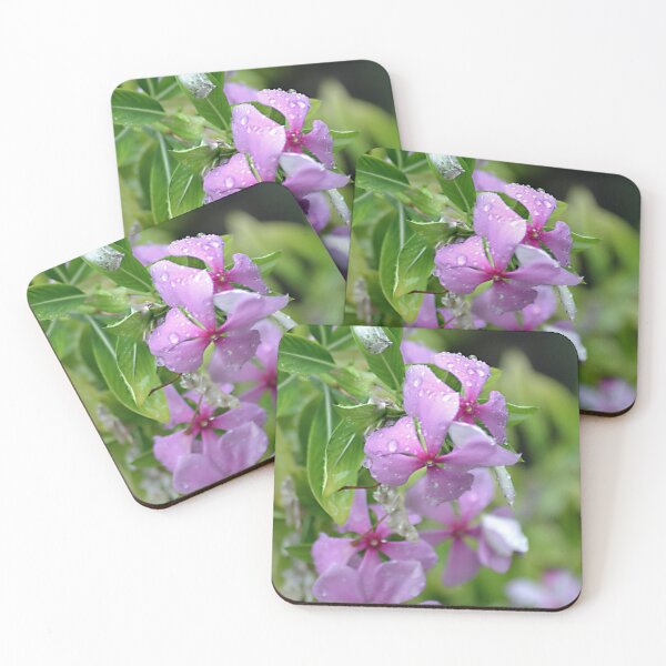 Item preview, Rain drenched pink periwinkle flowers designed and sold by VeenaNair23.