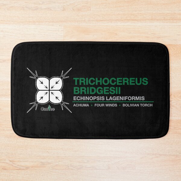 Item preview, Trichocereus Bridgesii - Echinopsis Lageniformis Cactus designed and sold by Cactee.
