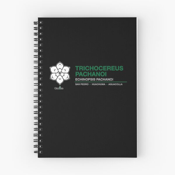 Item preview, Trichocereus Pachanoi - Echinopsis Pachanoi Cactus designed and sold by Cactee.