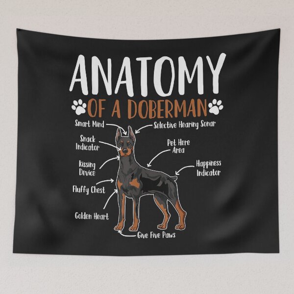 Item preview, Doberman Dog Anatomy designed and sold by kerricqkat.