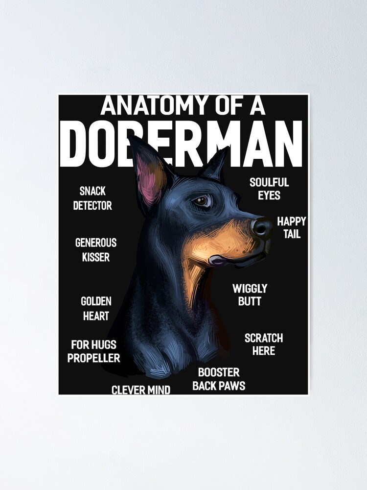 doberman jigsaw puzzles