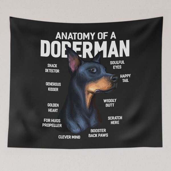 Item preview, Dogs 365 Anatomy of a Doberman Pinscher Dog Funny Gift Long Sleeve designed and sold by kerricqkat.