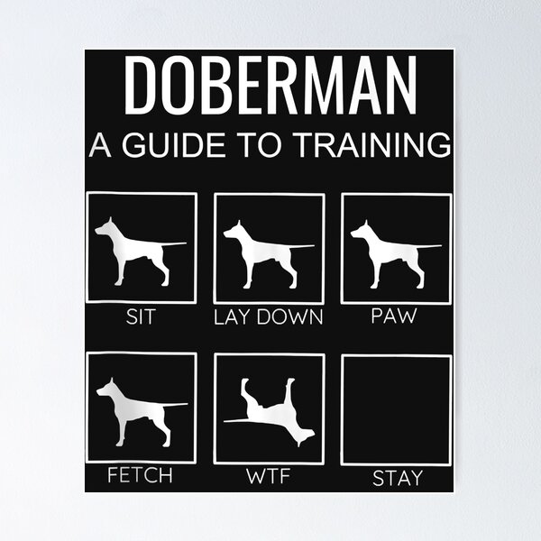 Doberman 2024 training guide