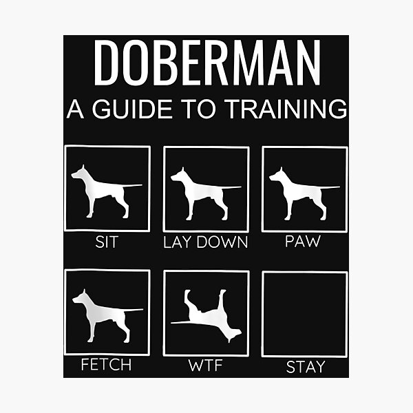Item preview, Funny Dog Training Guide Diagram Proud Owner Doberman Tank Top designed and sold by kerricqkat.