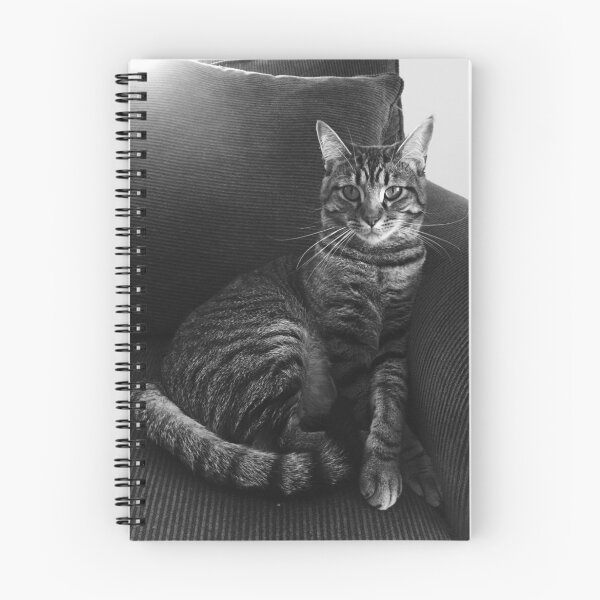 Artikelvorschau, Ernste Katze entworfen und verkauft von Kweez.