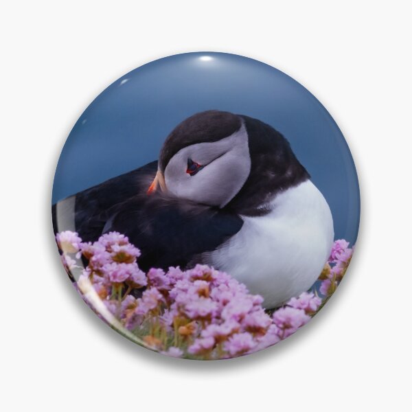 Item preview, Cute Puffin at Sumburgh Head designed and sold by pwmoore.