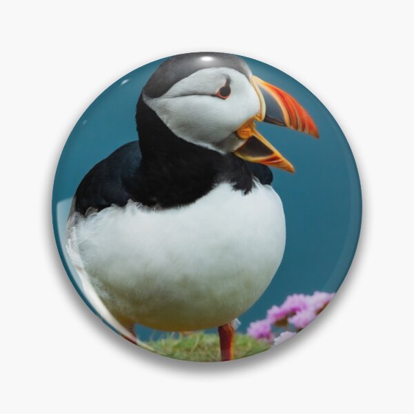 Item preview, Shouting Puffin at Sumburgh Head designed and sold by pwmoore.