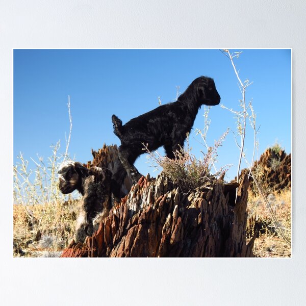 Item preview, Feral Kids - Yankaninna Station designed and sold by outbackjack.