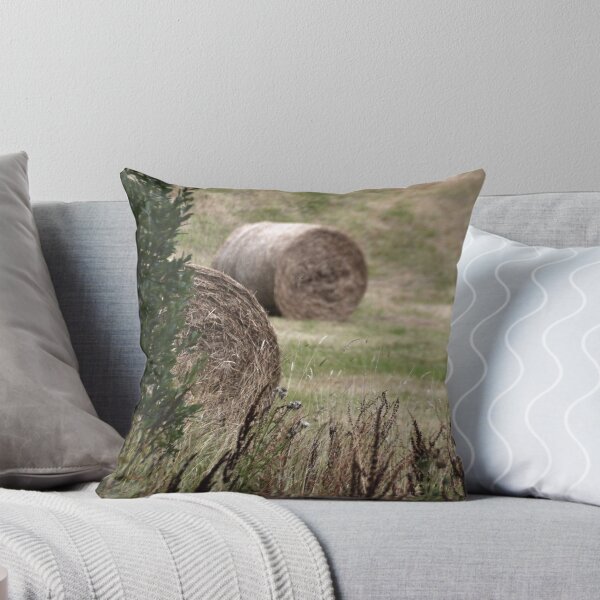Aperçu de l'œuvre Bales Of Hay.............. créée et vendue par lynn carter.