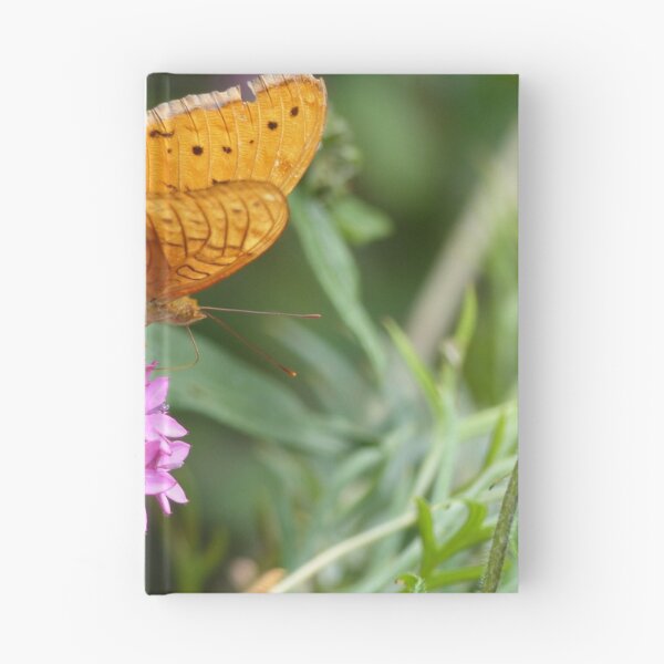 Item preview, Male Cruiser Butterfly designed and sold by Connie Pinson.