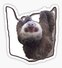 Pocket Sloth Sticker