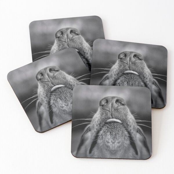 Item preview, Just The Nose Knows  designed and sold by Alex Preiss.