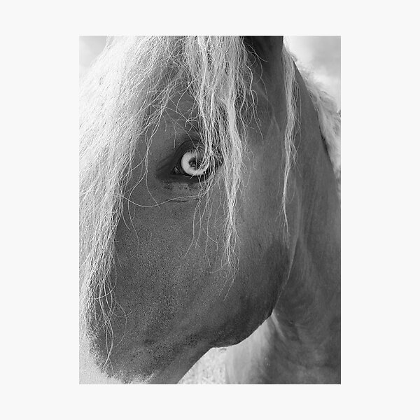 Item preview, Horse designed and sold by katkat03.