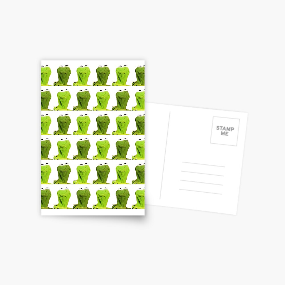Kermit the Frog Postcard