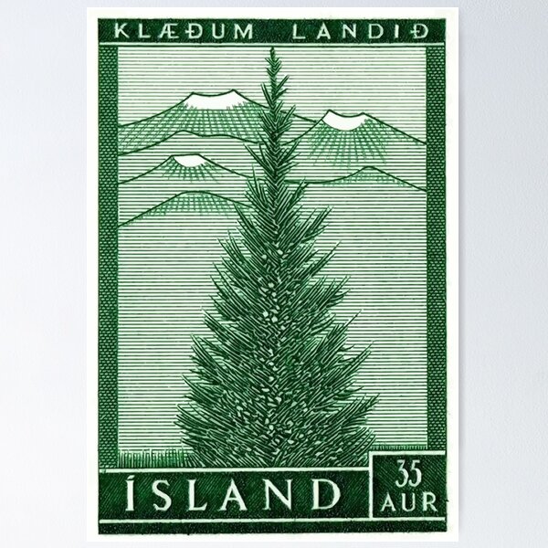 1957 Iceland Spruce Tree Postage Stamp Poster