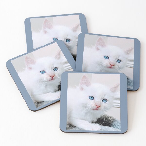 Item preview, Ragdoll Norwegian forest kitten designed and sold by Fluffycat2020.