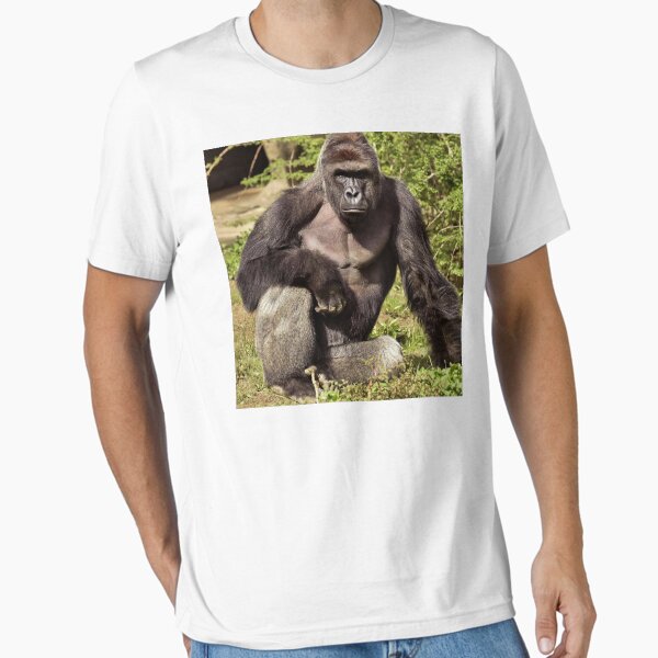 Vista previa del artículo con la obra «Harambe», diseñado y vendido por WalrusClothesCo.
