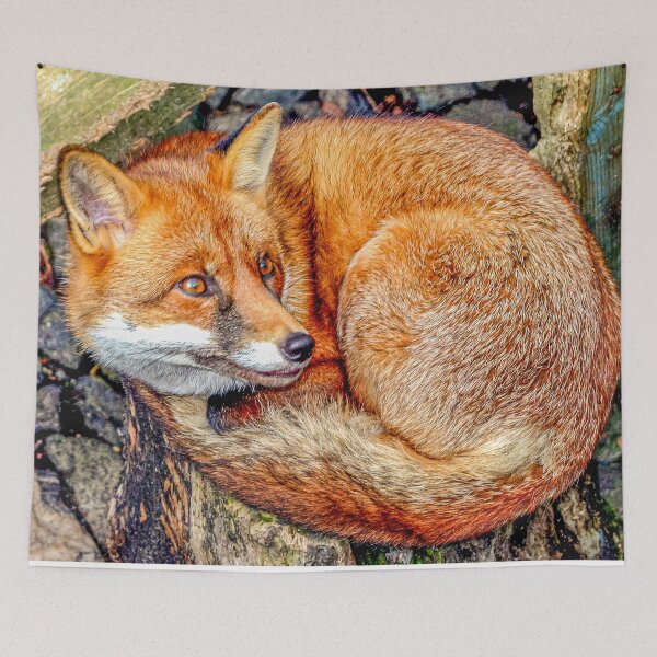 Item preview, Sleepy Red Fox designed and sold by Dalyndigital Photography.