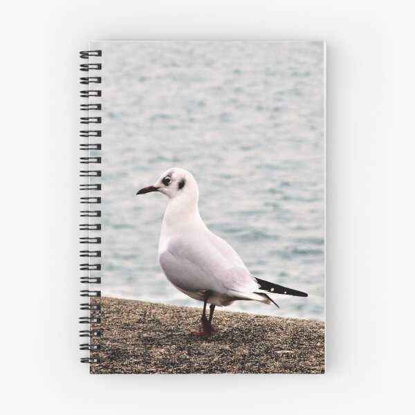Item preview, The Seagull ... designed and sold by ART22.