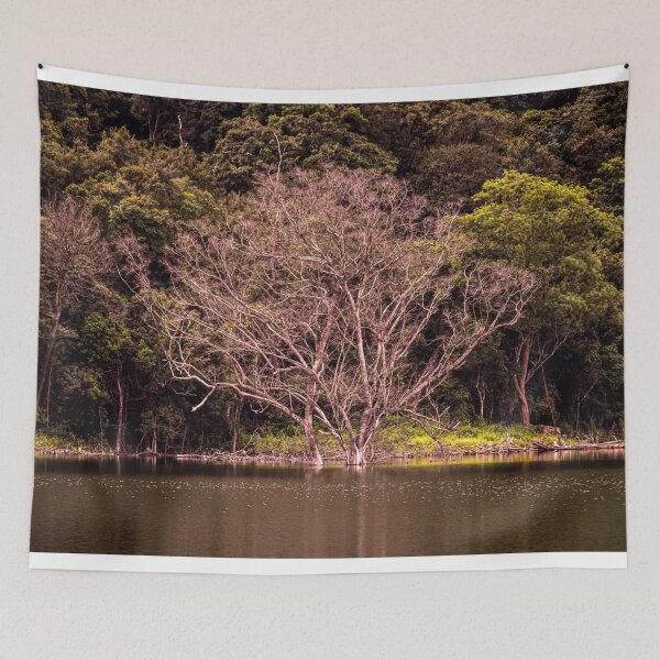 Item preview, The trees by the lake designed and sold by ShehaniJay.