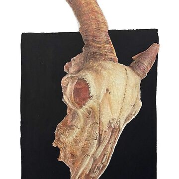 Artwork thumbnail, Ram Skull by silusUK